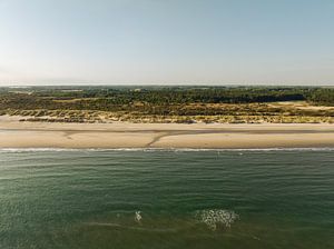 Natuurgebied Oranjezon 6 van Andy Troy