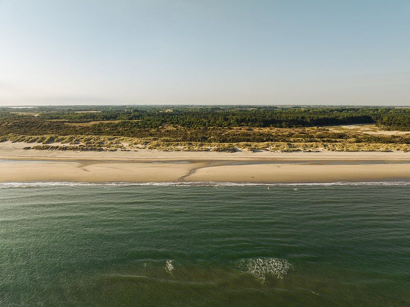 Naturschutzgebiet Oranjezon 6 von Andy Troy