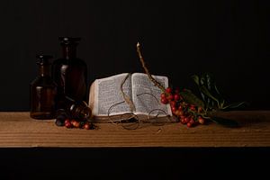 Nature morte avec des baies de bible sur Frank Lavooij