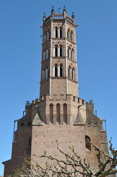 Pamiers Cathedral: a jewel of medieval architecture by Frank Photos