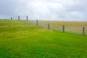 Fence on dike in slightly foggy weather by Folkert Jan Wijnstra