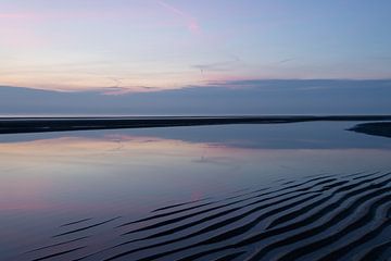 Evening pink above Zeeland sea banks by Dymfna Briede