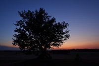 Sunset Brooksand - a rare beautiful area