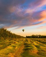 Hot air balloon over Oud-Zevenaar