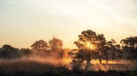 Tegenlicht van de zon kleurt de mist oranje van Lex Schulte thumbnail