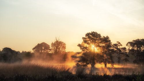 Tegenlicht van de zon kleurt de mist oranje