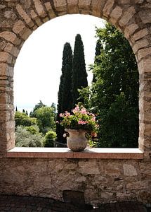 Mediterranean Vibes