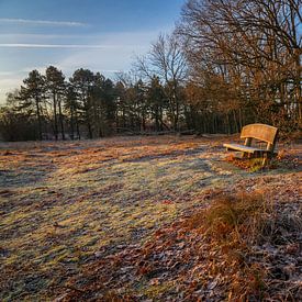 Banc dans une réserve naturelle sur Dirk van Egmond