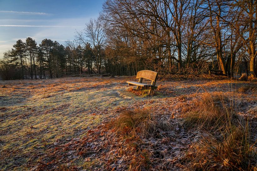 Bench in nature reserve by Dirk van Egmond