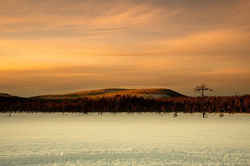 snowy landscape in Sweden
