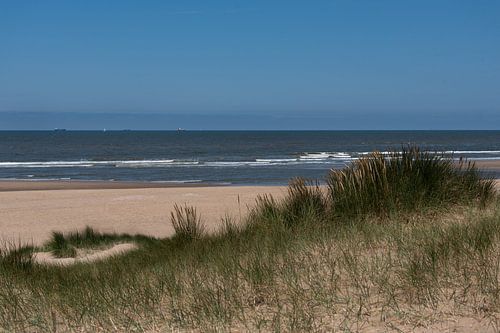 Noordzeestrand duingebied 01