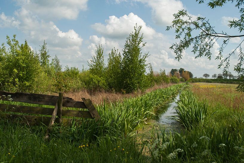 Green Netherland by Anco van der Kolk