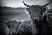 Hooglander duo