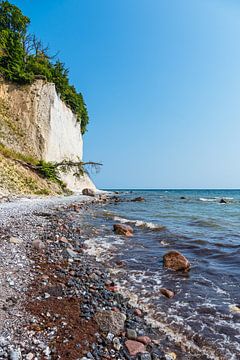 Kreidefelsen an der Küste der Ostsee auf der Insel Rügen von Rico Ködder