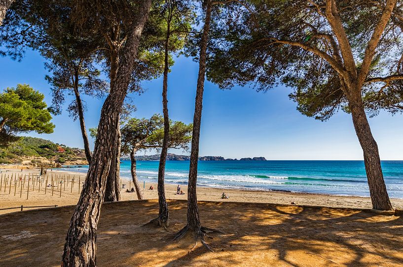 Plage à Peguera, Platja de Tora, île de Majorque, Espagne par Alex Winter