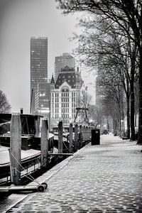Winterfoto von der Heringsfliege und dem Weißen Haus in Rotterdam