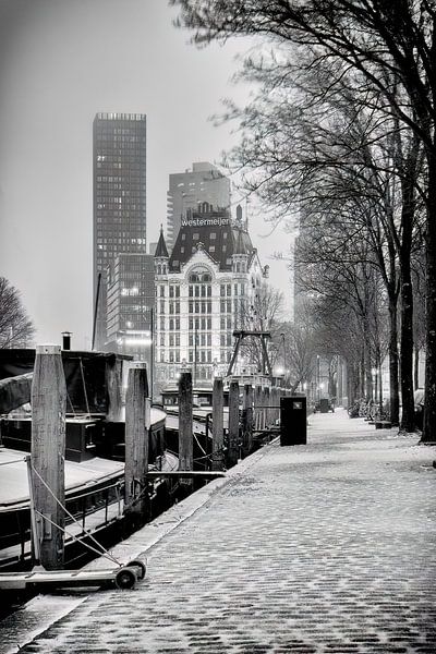Photo d'hiver de la mouche du hareng et de la Maison Blanche à Rotterdam par Mark De Rooij