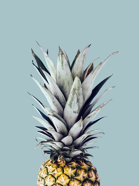 Ananas 3 van Vitor Costa
