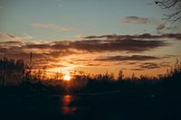 Setting sun in the bog landscape