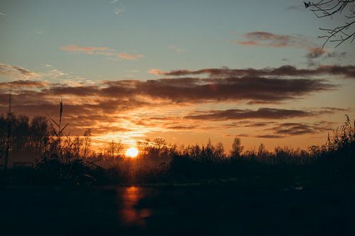 Le soleil couchant dans le paysage des tourbières