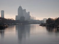 Nebliger Morgen auf der Amstel