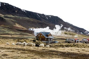 Living on hot boiling water, IJsland