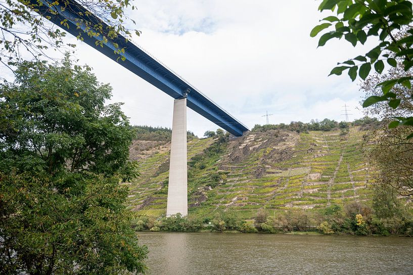 Moseltalbrücke by Richard Wareham