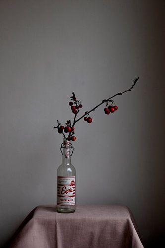 Nature morte de cerises chinoises dans une bouteille