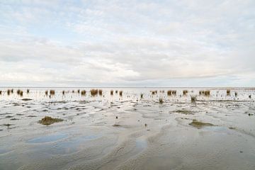 Strand Ameland van Lisa Mulder