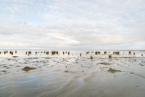 Strand Ameland