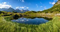 Bergsee in den Allgäuer Alpen von Achim Thomae Miniaturansicht