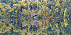 Herbst am Freibergsee