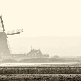 Nordholländischer Polder mit Windmühle von Ronald Mallant