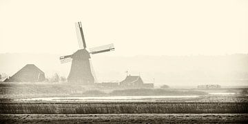 Noord-Hollandse polder met molen van Ronald Mallant
