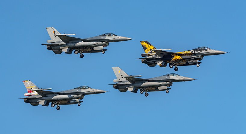 Les Thunder Tigers de l'armée de l'air belge. par Jaap van den Berg