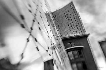 The Admirant by Jos Crooymans