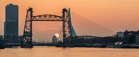 Sonnenuntergang hinter dem Hef in Rotterdam
