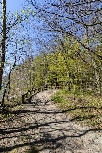Fiets- en wandelpad langs het natuurstrand in de Goor