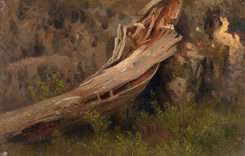 August Capping~Study of a Decayed Trunk by finemasterpiece