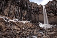 Svartifoss Wasserfall in Island von Albert Mendelewski Miniaturansicht