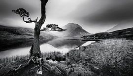 Zwart-wit fotografie met landschap
