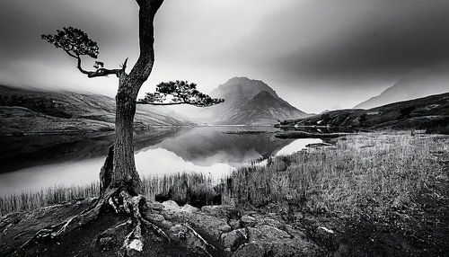 Black and white photography with landscape