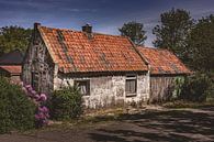 Altes niederländisches baufälliges Haus von Lima Fotografie Miniaturansicht