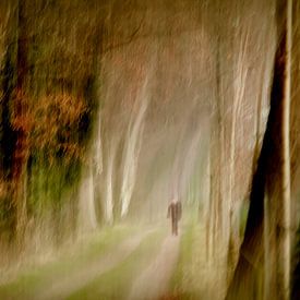 Zondagswandeling by Henk Dirksen