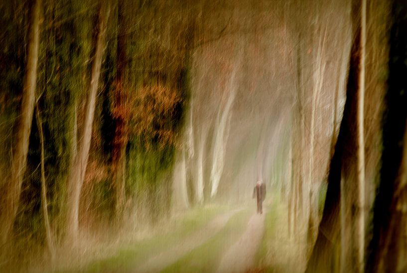 Zondagswandeling par Henk Dirksen