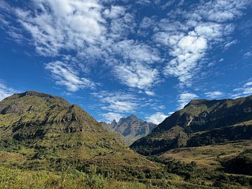 Drakensbergen in Zuid-Afrika van Olga Bujak