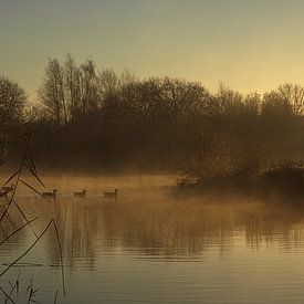Ochtendsfeer van Tilly Baan