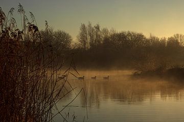 Morgenstimmung von Tilly Baan