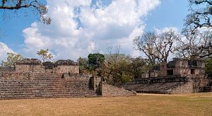 Honduras: Copán (Los Sapos)