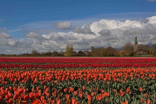 Een tulpen dorpslandschap